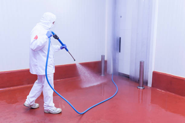 Best Building Exterior Washing  in Smithville, NJ